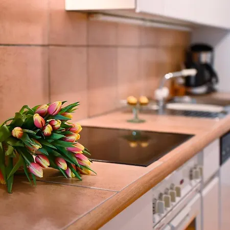 公寓 Ruga House In 3 *